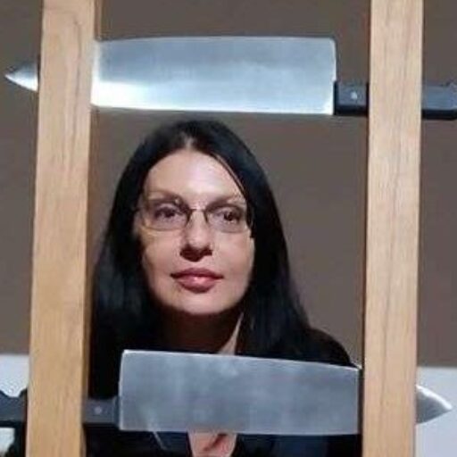 dijana dimitrovska, pisac, novinar