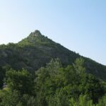 Brvenik, korov brži od čuvara