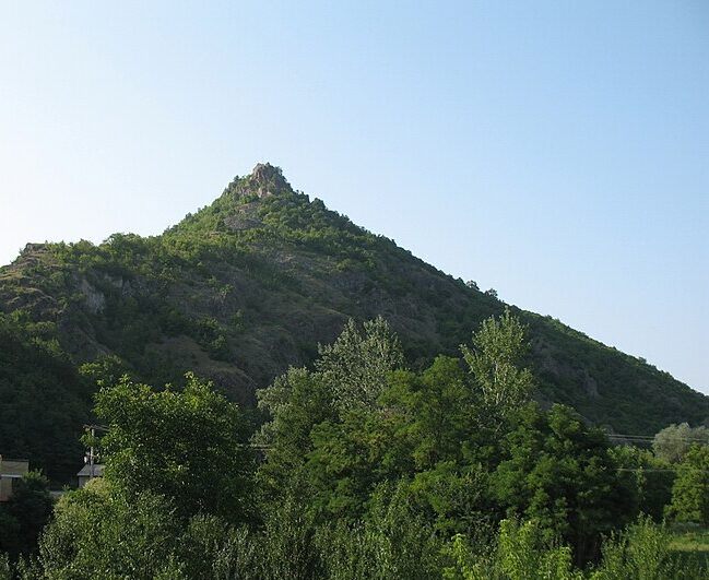 Tvrđava Brvenik, rastinje brže od čuvara
